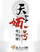 《天字嫡一号》