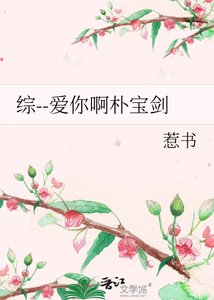 《综--爱你啊朴宝剑》