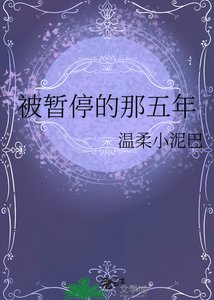 《被暂停的那五年》