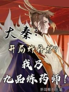 《大秦开局炸丹炉,我乃九品炼药师》