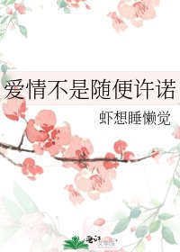 《爱情不是随便许诺》